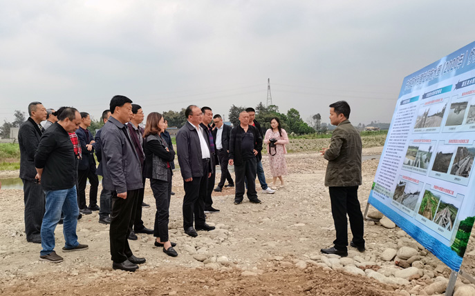 東坡區(qū)人大視察公司思蒙河水毀工程項目